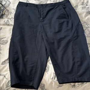 Anthropologie Barrel dress pants